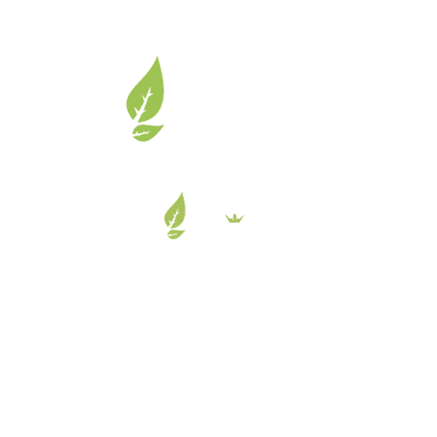 European windows rozkov usa - miami chicago new york boston seattle - schuco reynaers aluprof veka